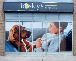 Bosleys window vinyl showing dog