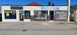 Tokanagan and GillAmy fascia signs